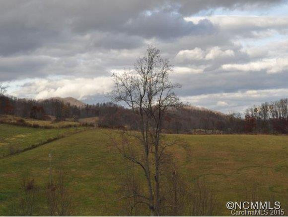 1227 NEWFOUND RD - Photo 4