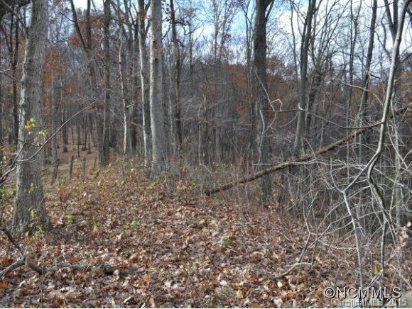 1227 NEWFOUND RD - Photo 7