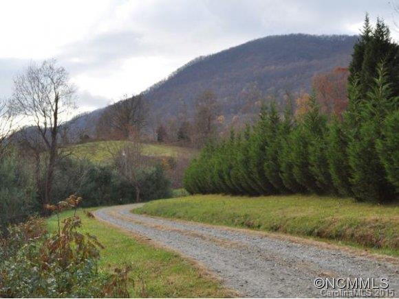 1227 NEWFOUND RD - Photo 8