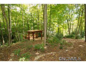 442 Ginseng Hollow Lane - Photo 19