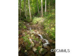 442 Ginseng Hollow Lane - Photo 3