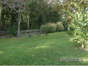 26 Lone Wolfe - Photo 11