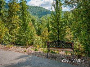 21 BEES MOUNTAIN DRIVE - Photo 20