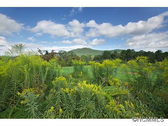 105 Still Water Lane - Photo 16