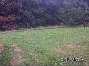 489 ISLAND FORD ROAD - Photo 3