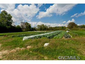 31 Toms Rd - Photo 21