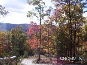 343 Franks Cove Road - Photo 21