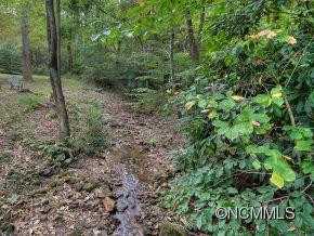 11 Chestnut Lodge Road - Photo 4