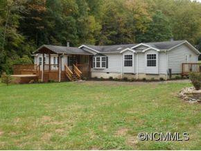 241 Beech Tree