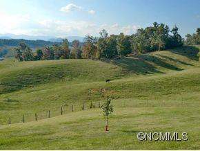 602 OLD NC 20 - Photo 3