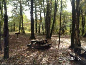 1155 Reasonover Road - Photo 5