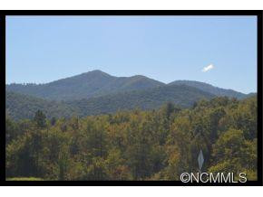 618 Enka Lake Rd. - Photo 2