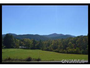 618 Enka Lake Rd. - Photo 3