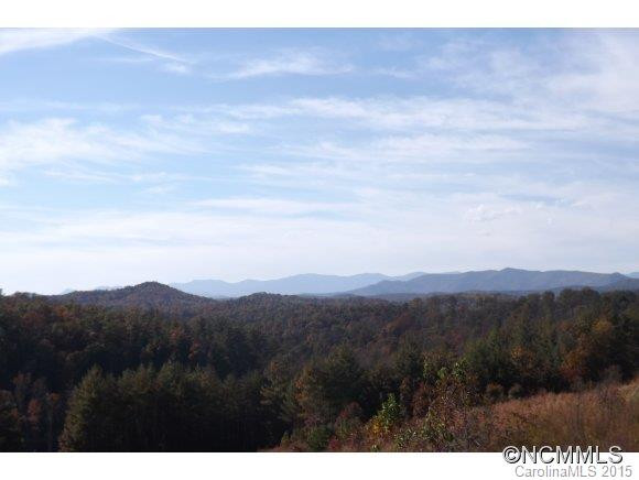 101 A Bear Cliff Drive - Photo 4