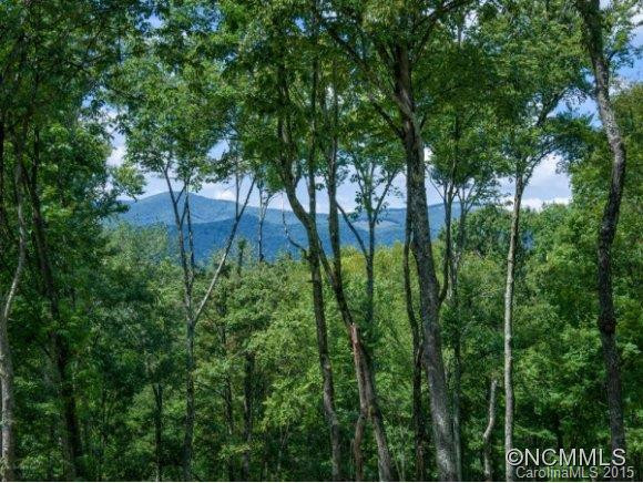 150 TOI TRAIL - Photo 16