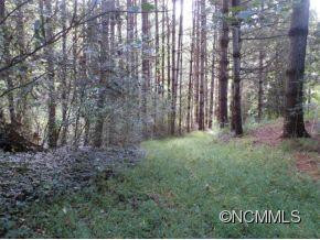 306 Fred Sutton Rd - Photo 19