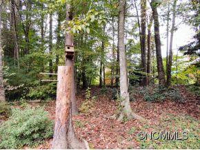 123 Brandymill Loop - Photo 24