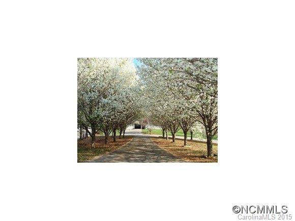 30 Azalea Drive - Photo 3