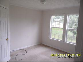 48 Dandy Lyon Lane - Photo 10