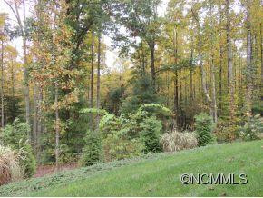 137 Freedom Trail Court - Photo 24