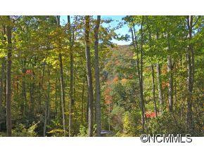 473 Copper Spur Road - Photo 18
