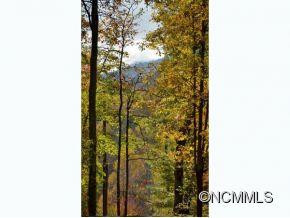 64 WINDING TRAIL - Photo 10