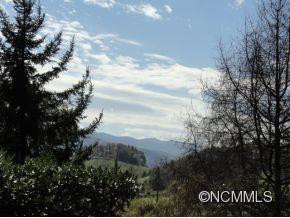 39 Uncle Harveys Lane - Photo 3