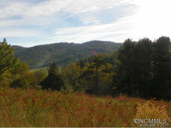 32 Upper Herron Cove Road - Photo 2
