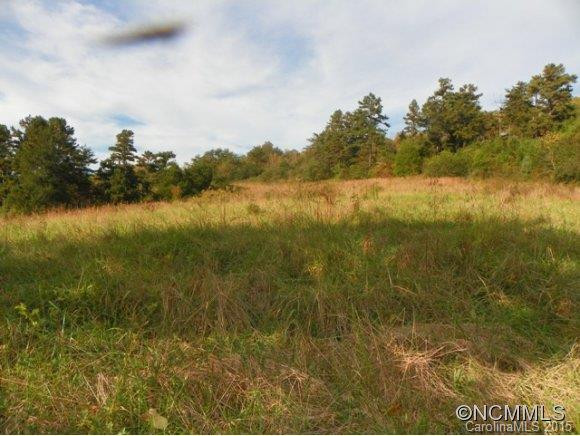 32 Upper Herron Cove Road - Photo 3