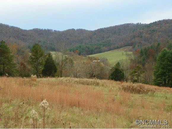 32 Upper Herron Cove Road - Photo 4