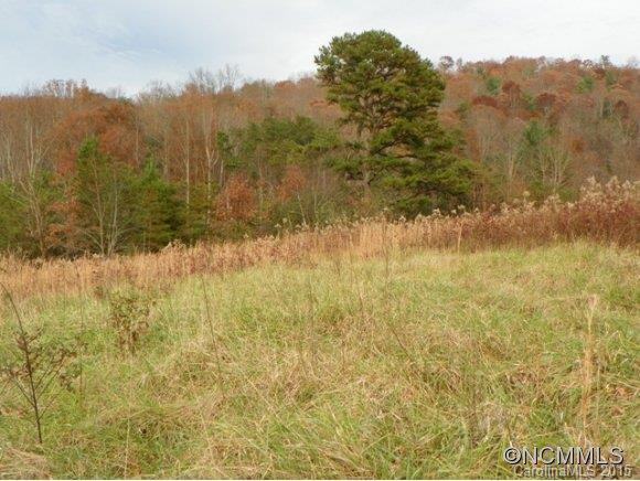 32 Upper Herron Cove Road - Photo 5