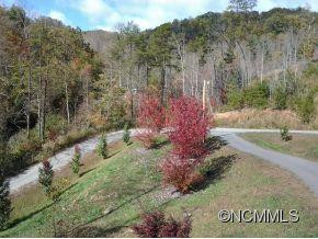 126 The Vines Boulevard - Photo 9
