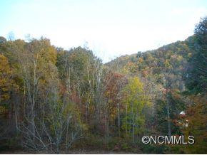 427 Spring Hollow Drive - Photo 16