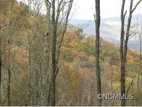 74 Gadohi Trail - Photo 2