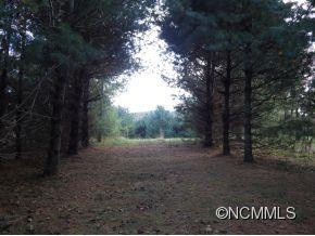 76 Ball Gap Road - Photo 19