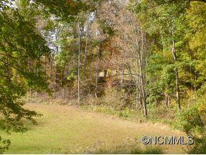 250 Banjo Branch Road - Photo 5