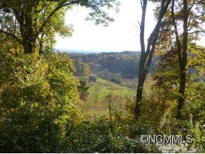 250 Banjo Branch Road - Photo 6