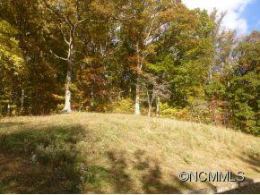 250 Banjo Branch Road - Photo 8