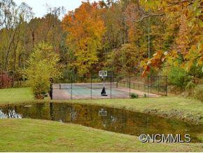 52 PISGAH FOREST TRAIL - Photo 18