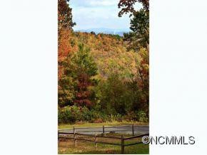 52 PISGAH FOREST TRAIL - Photo 6