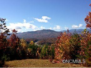 1230 Old Linville Road - Photo 2