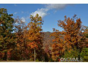 1230 Old Linville Road - Photo 24