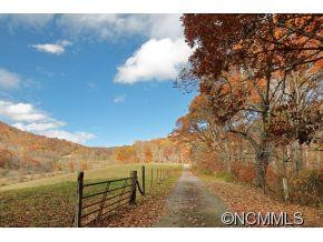 1128 Forest Street - Photo 2