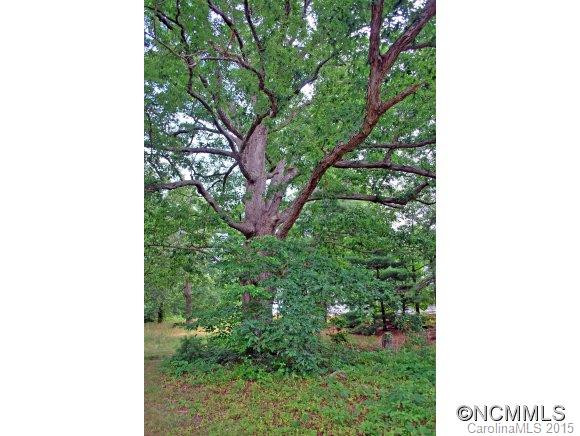 1516 Ellenboro Henrietta Rd - Photo 3