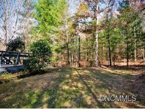 4 CHESTNUT MOUNTAIN RIDGE - Photo 18