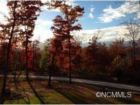 53 Dobson's Knob Loop - Photo 7
