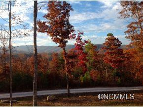 53 Dobson's Knob Loop - Photo 8