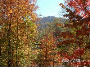 650 Pinewood Drive - Photo 13