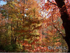 650 Pinewood Drive - Photo 24