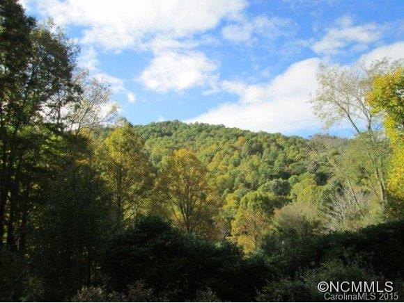 1502 Watershed Rd - Photo 9